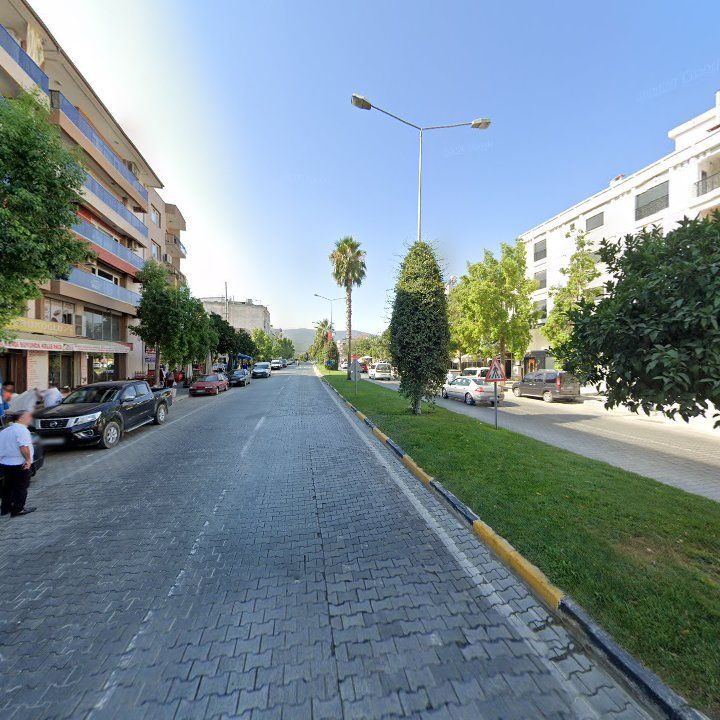 Fotoğraf 11