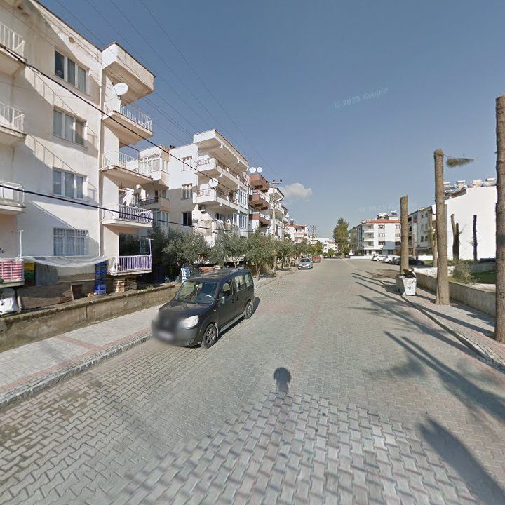Fotoğraf 9