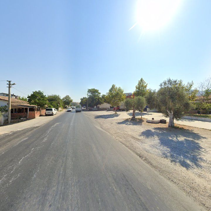 Fotoğraf 10