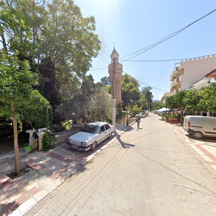Fotoğraf 7