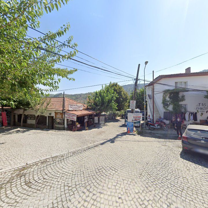 Fotoğraf 10