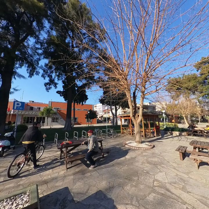 Fotoğraf 7