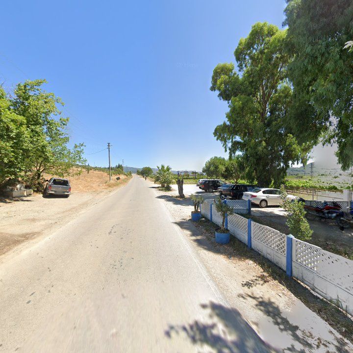 Fotoğraf 11