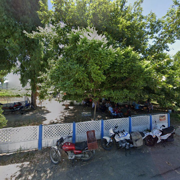 Fotoğraf 8