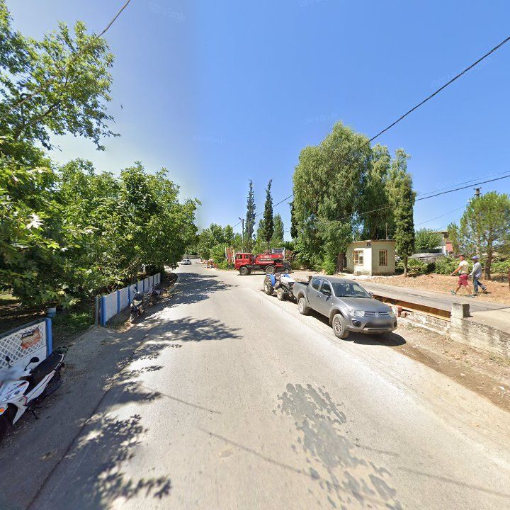 Fotoğraf 9