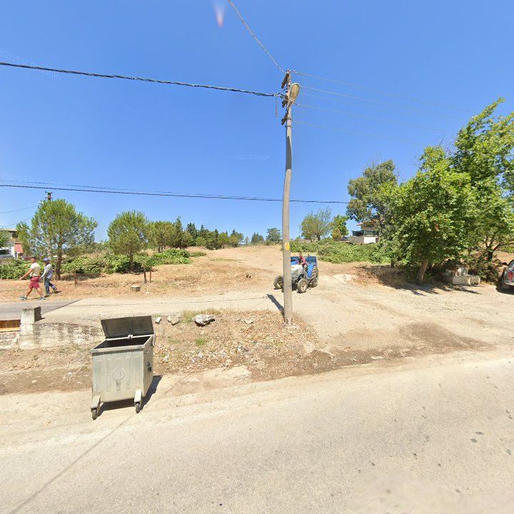 Fotoğraf 10