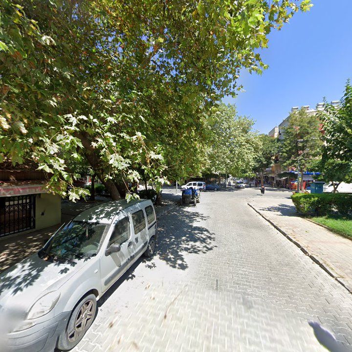 Fotoğraf 10