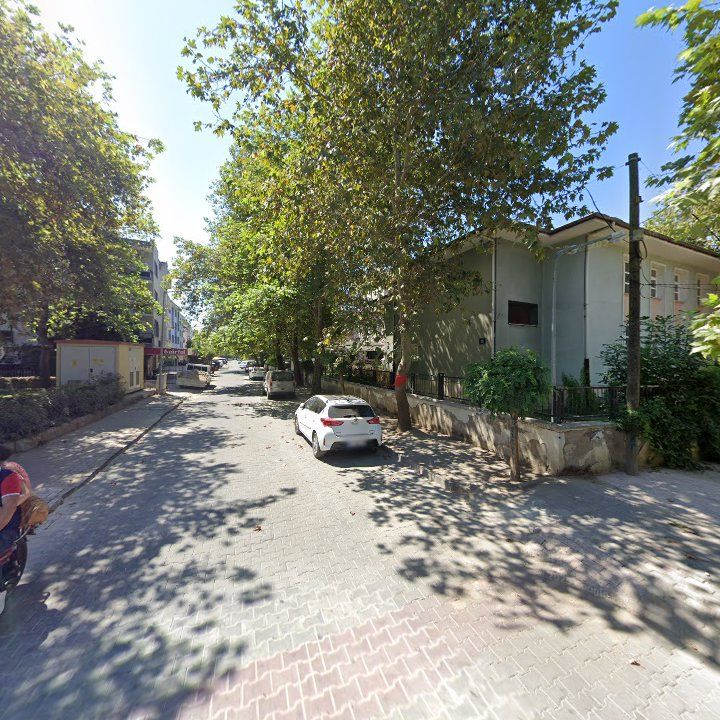 Fotoğraf 9