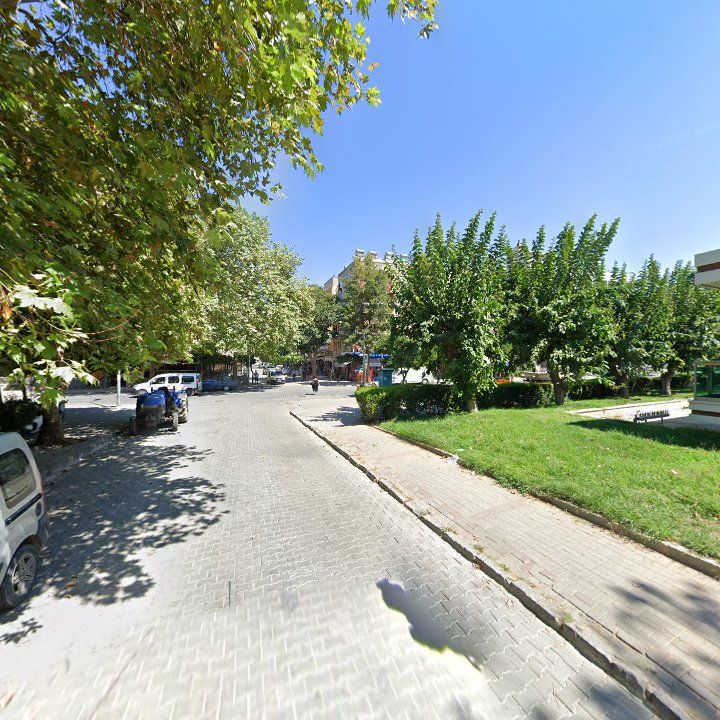 Fotoğraf 7
