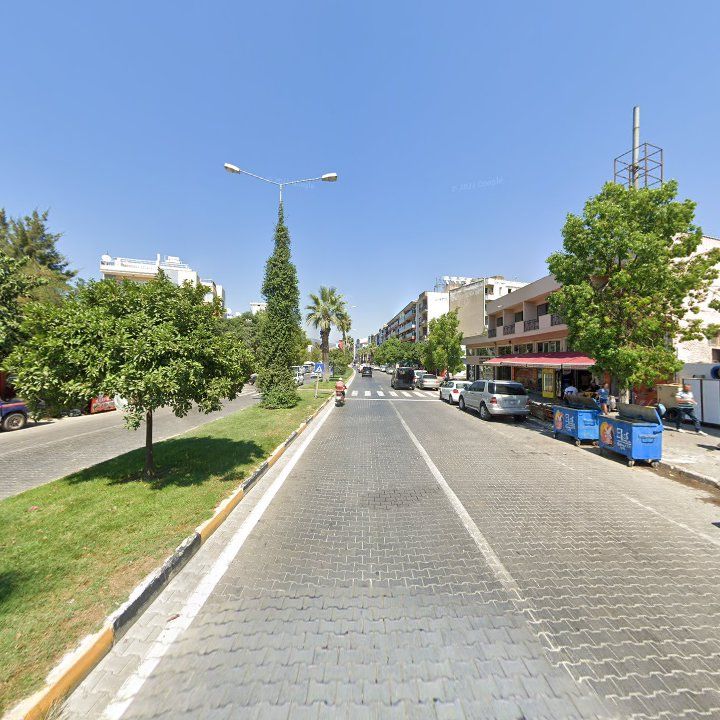 Fotoğraf 12