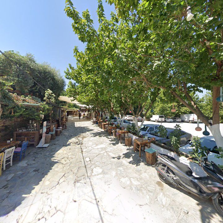 Fotoğraf 10