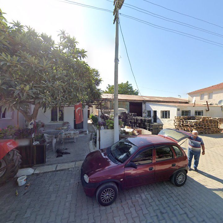 Fotoğraf 4