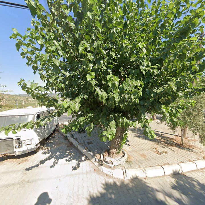Fotoğraf 6