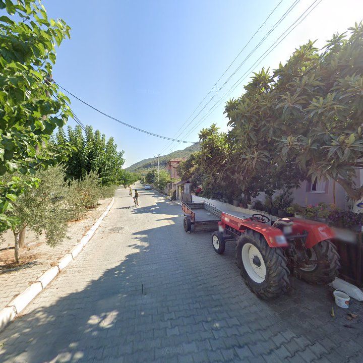 Fotoğraf 7