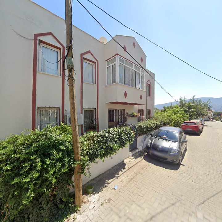 Fotoğraf 12