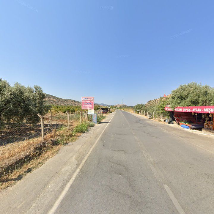 Fotoğraf 11