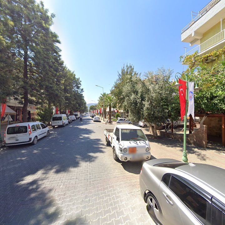 Fotoğraf 10