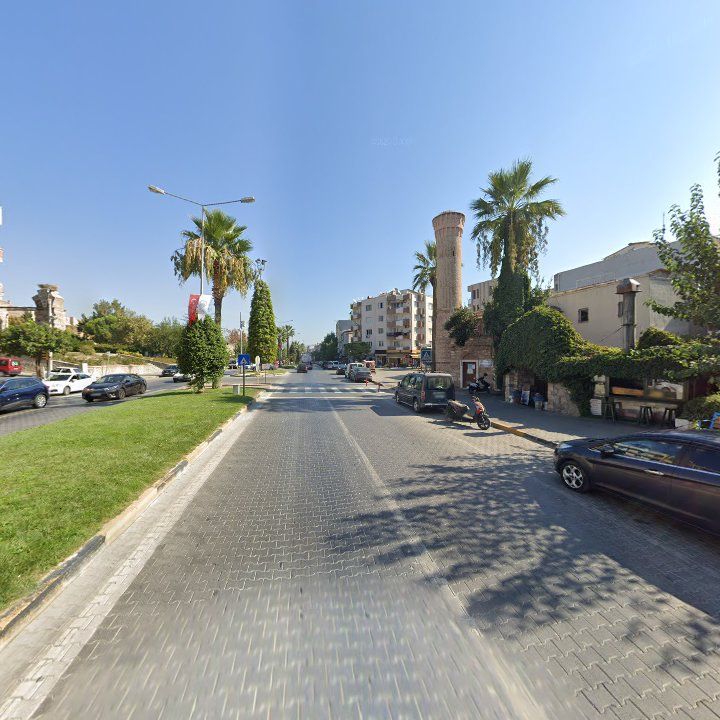 Fotoğraf 8
