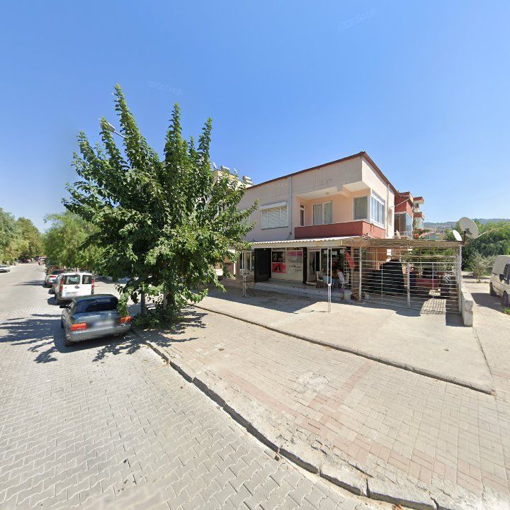 Fotoğraf 10