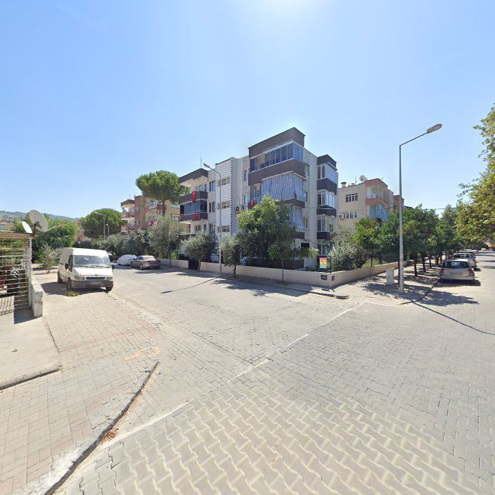 Fotoğraf 11
