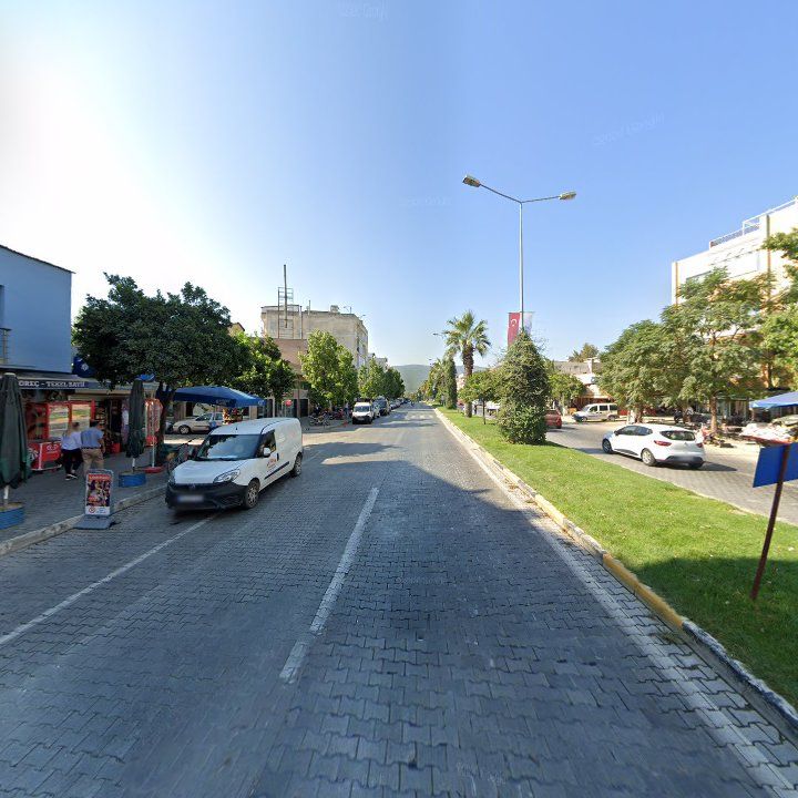 Fotoğraf 7