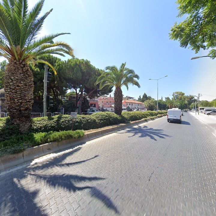 Fotoğraf 11