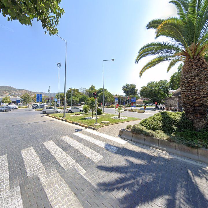 Fotoğraf 10
