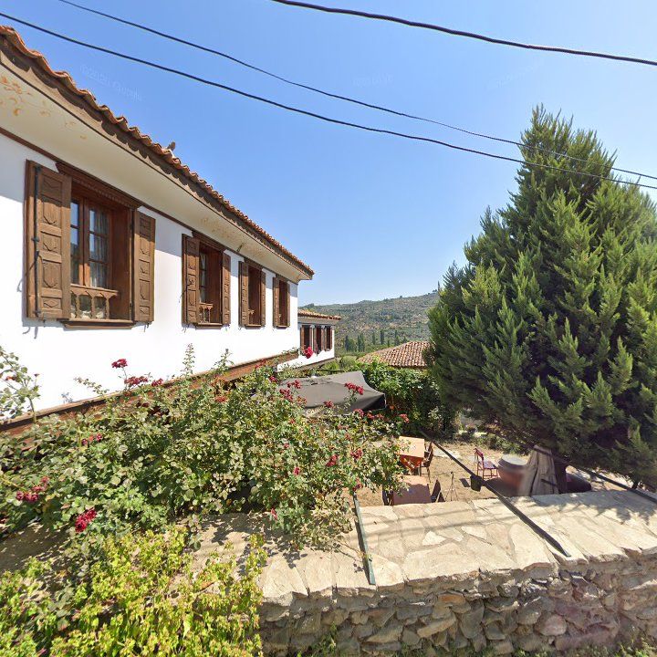 Fotoğraf 10