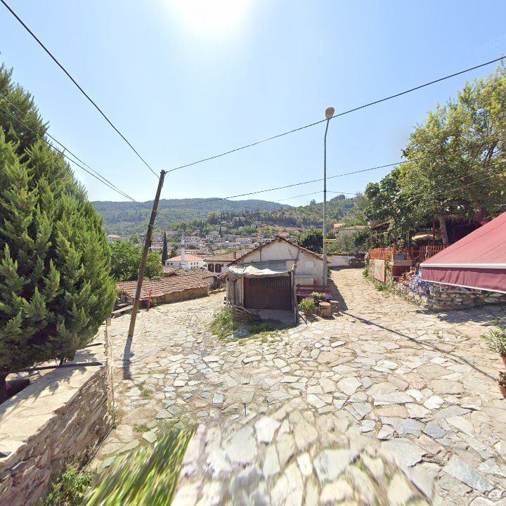 Fotoğraf 11