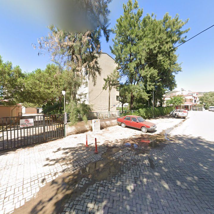 Fotoğraf 7