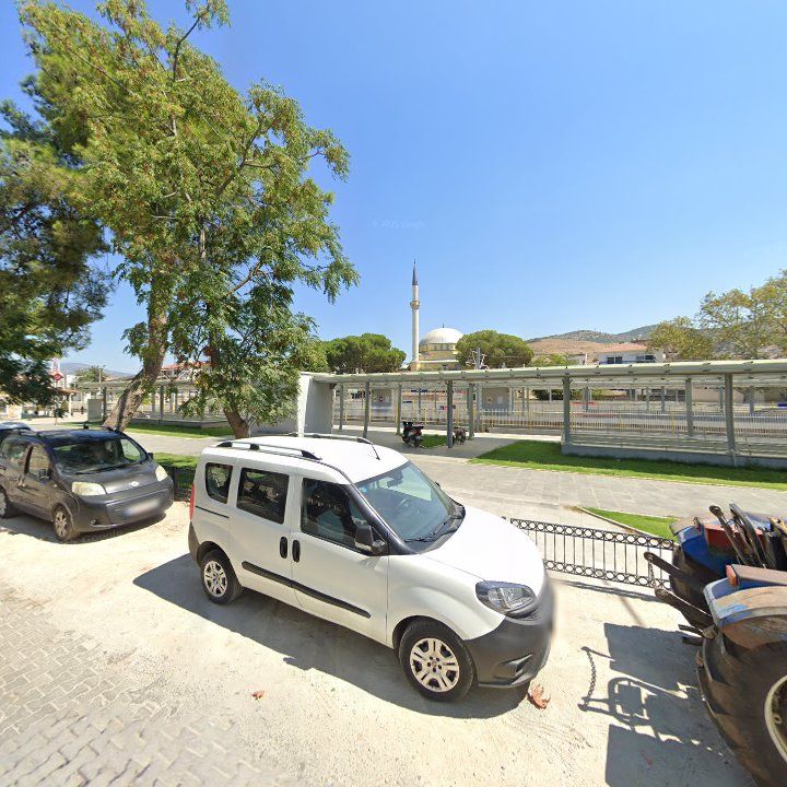 Fotoğraf 10