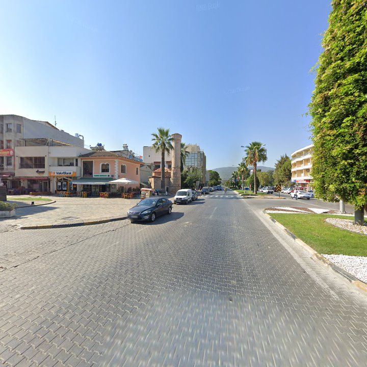 Fotoğraf 6