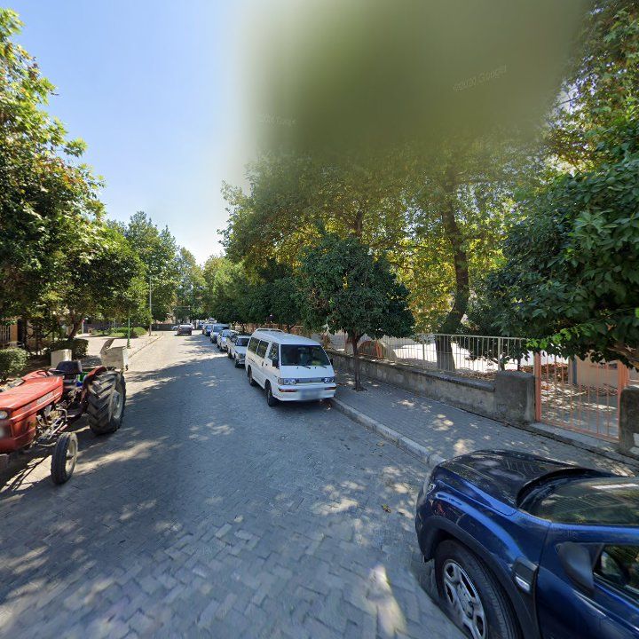 Fotoğraf 11