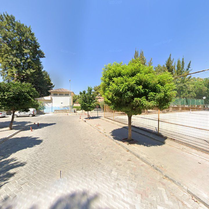 Fotoğraf 9