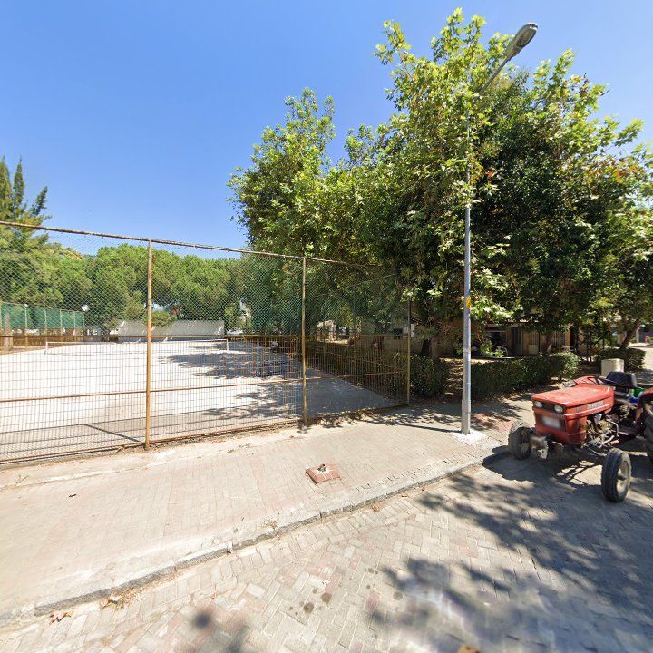 Fotoğraf 10