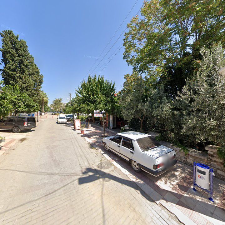 Fotoğraf 9