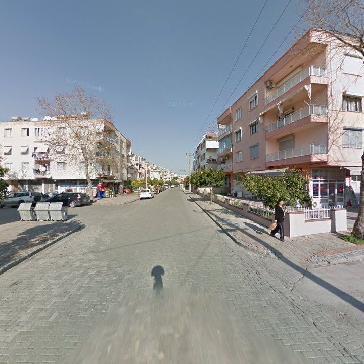 Fotoğraf 6