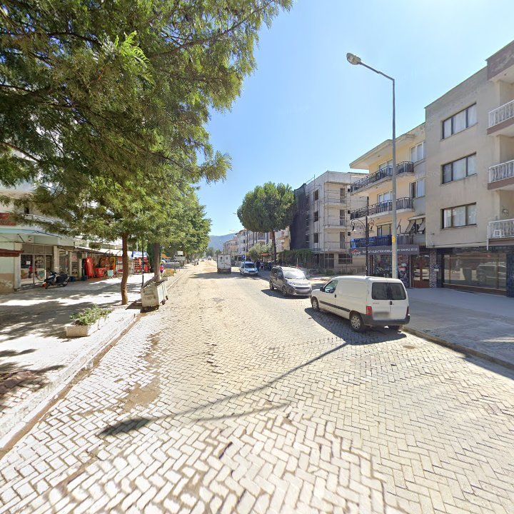 Fotoğraf 11