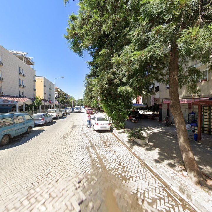 Fotoğraf 9