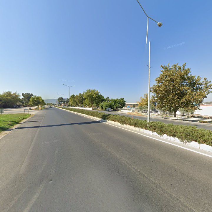 Fotoğraf 11