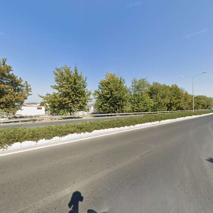 Fotoğraf 12