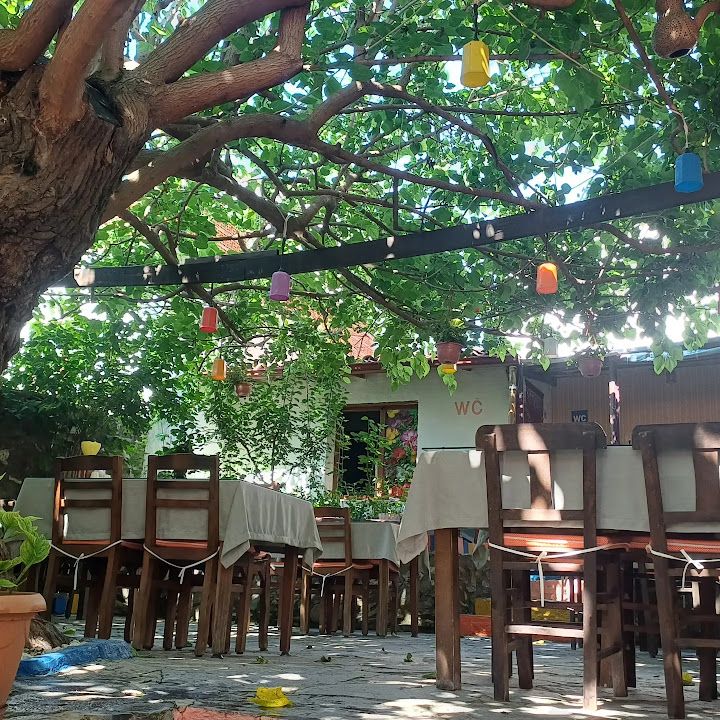 Fotoğraf 7