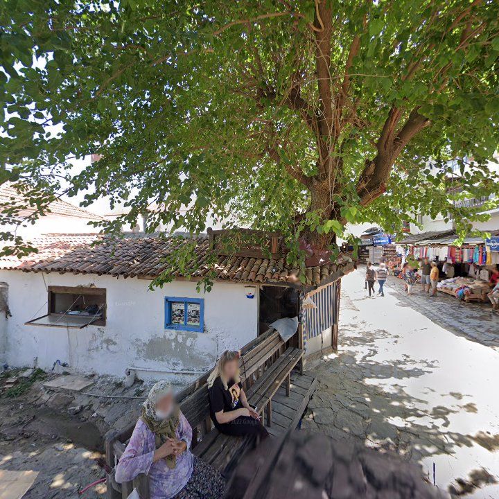 Fotoğraf 11