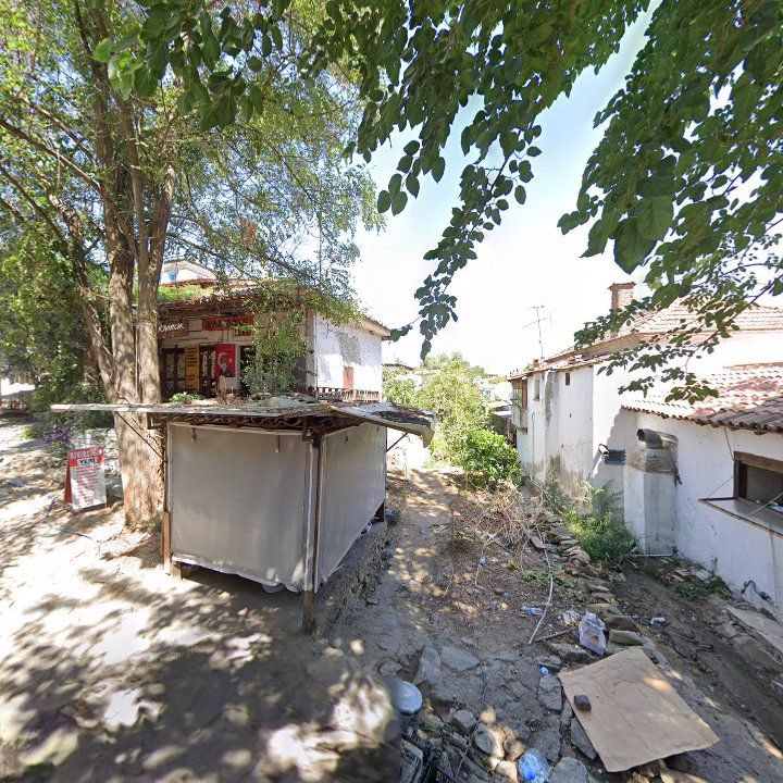 Fotoğraf 10