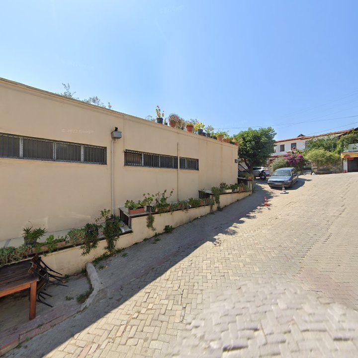 Fotoğraf 10