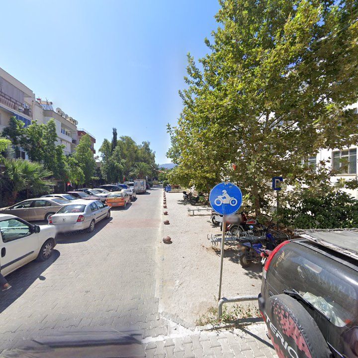 Fotoğraf 7