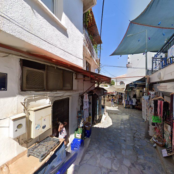 Fotoğraf 12