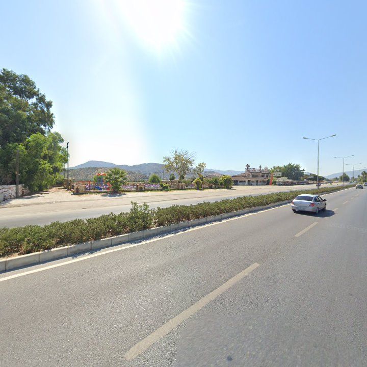 Fotoğraf 11