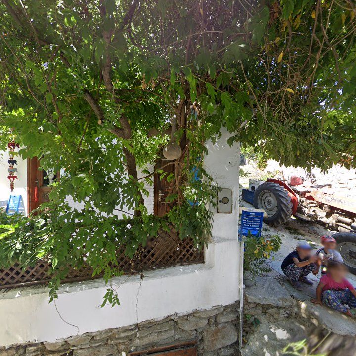 Fotoğraf 12