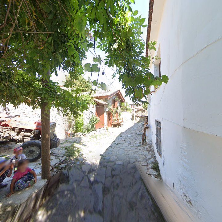 Fotoğraf 13